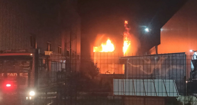 Türkiye'nin en büyük termik santralinde yangın çıktı