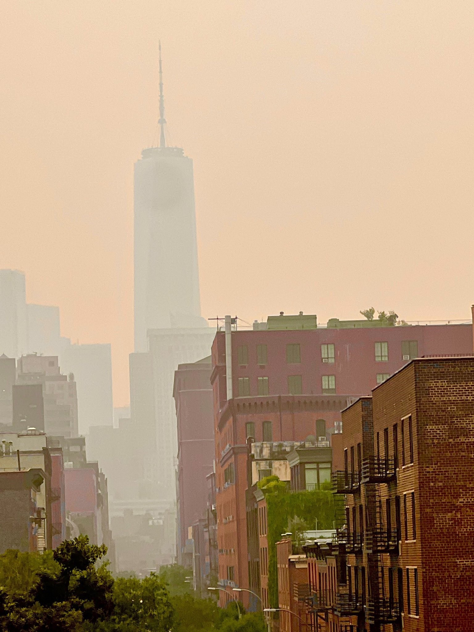 Kanada'daki orman yangınlarının dumanı New York'a ulaştı