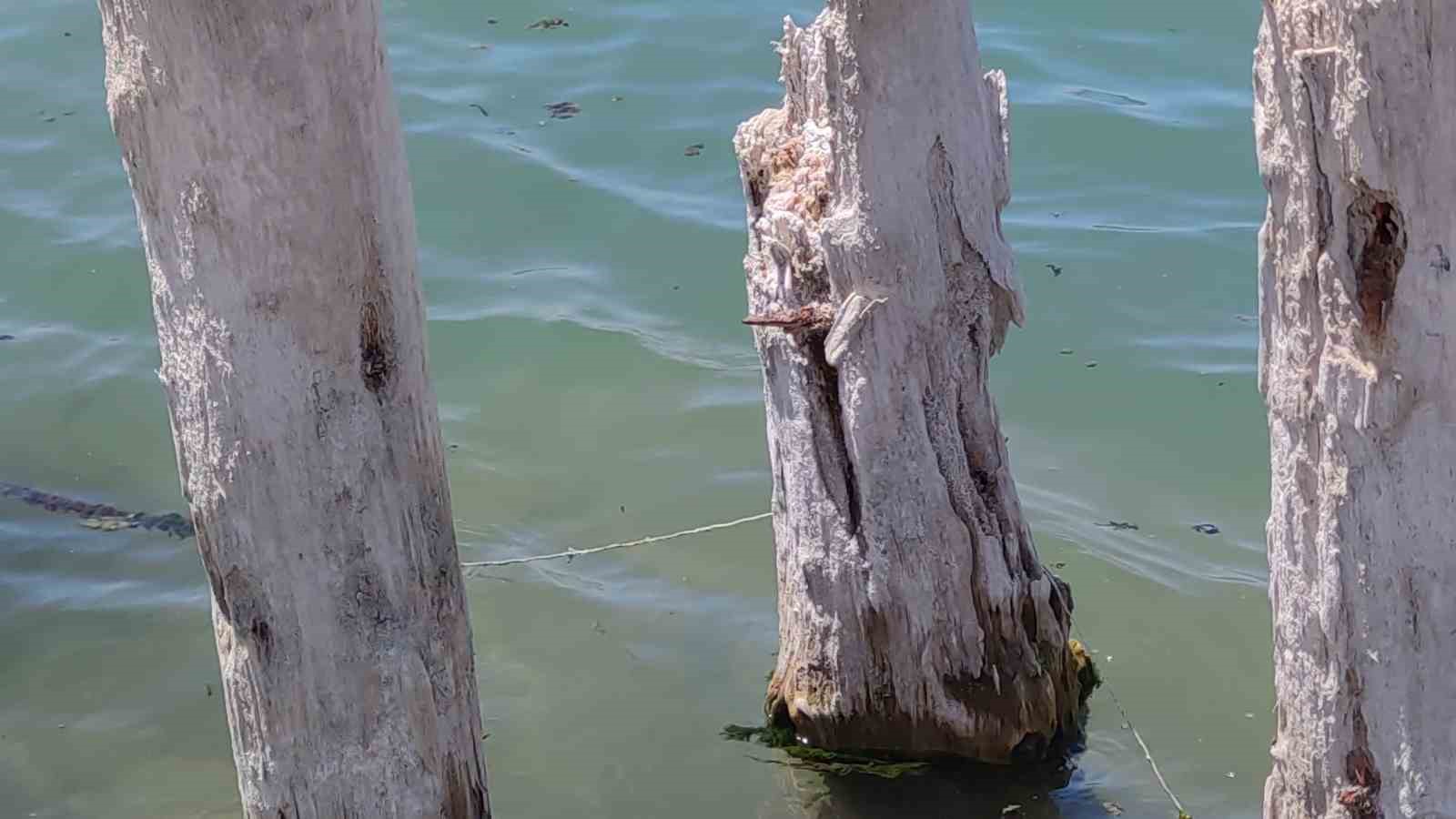 Van Gölü’nde balçık temizliği sonrası 100 yıllık iskele tamamen ortaya çıktı
