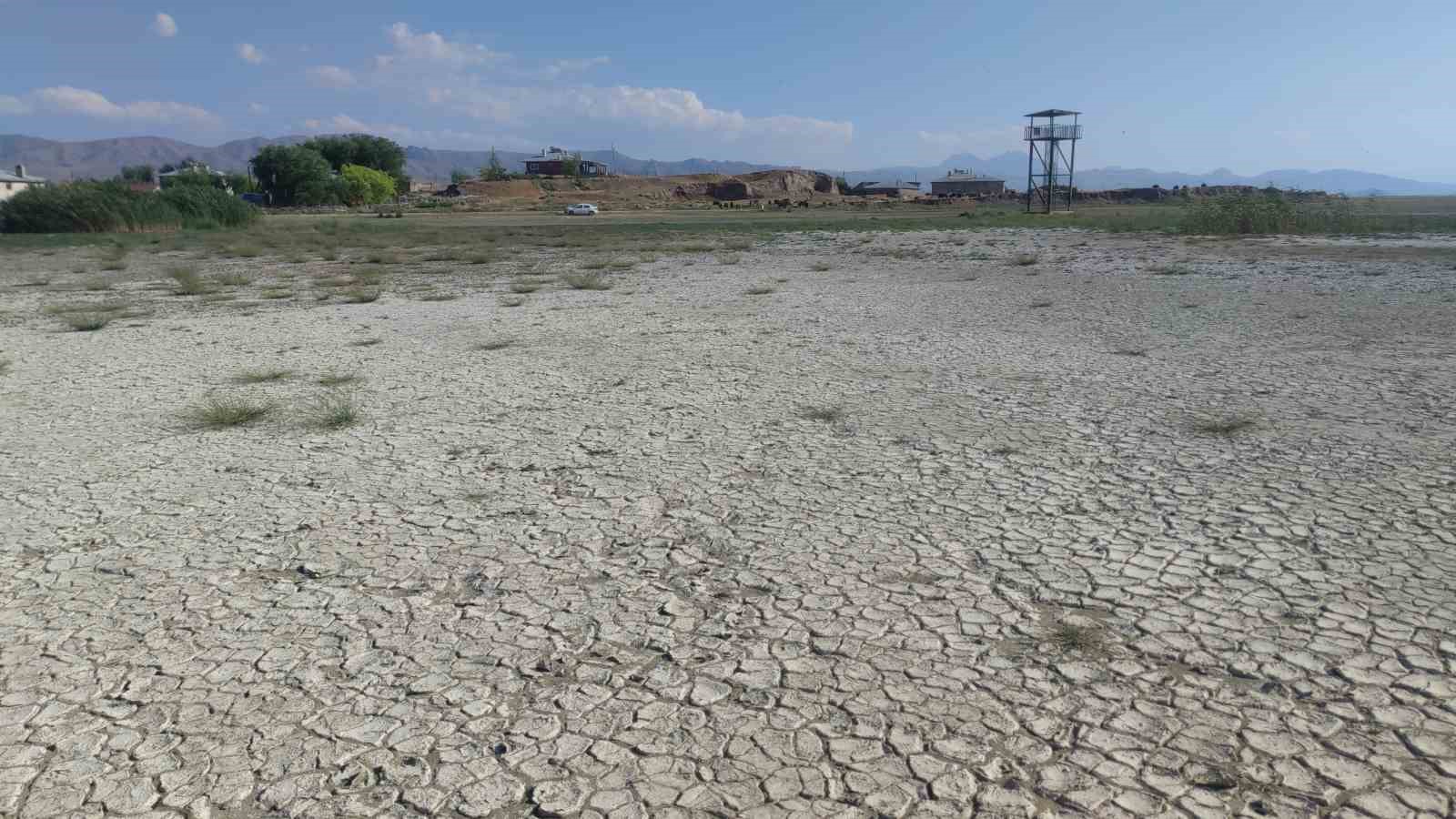 Erçek Gölü’ndeki su kaybı devam ediyor