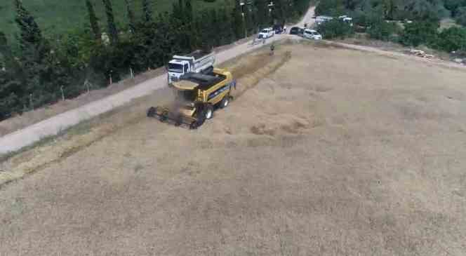 Atıl arazi ekonomiye kazandırıldı, ihtiyaç sahiplerinin yüzü güldü