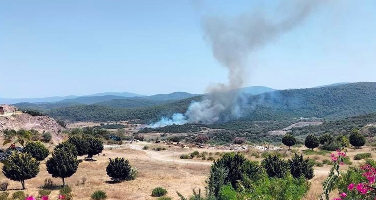 Milas’ta orman yangını başladı