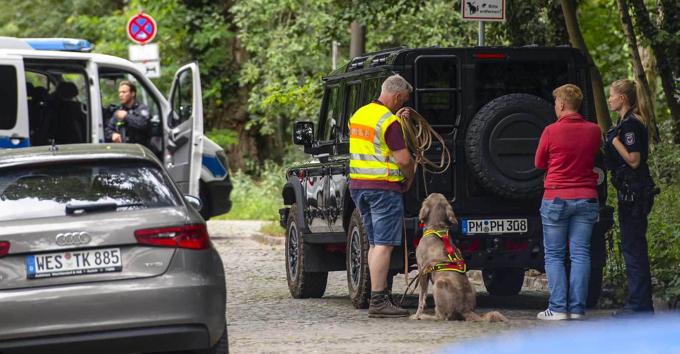 Berlin’de görülen aslan paniğe neden oldu