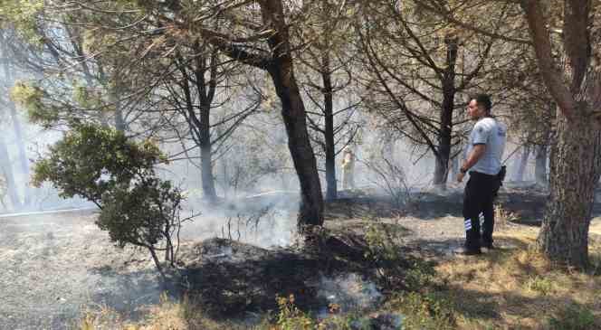 Sultangazi Kent Ormanı’nda çıkan yangın paniğe neden oldu