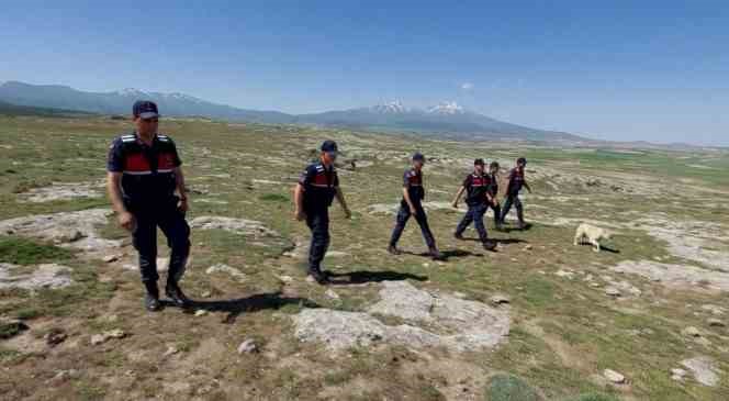 Jandarma kayıp 100 koyunu dron ile 1 saatte buldu