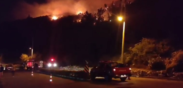 Muğla'nın Seydikemer ilçesinde makilik alanda yangın! Alevlere müdahale devam ediyor