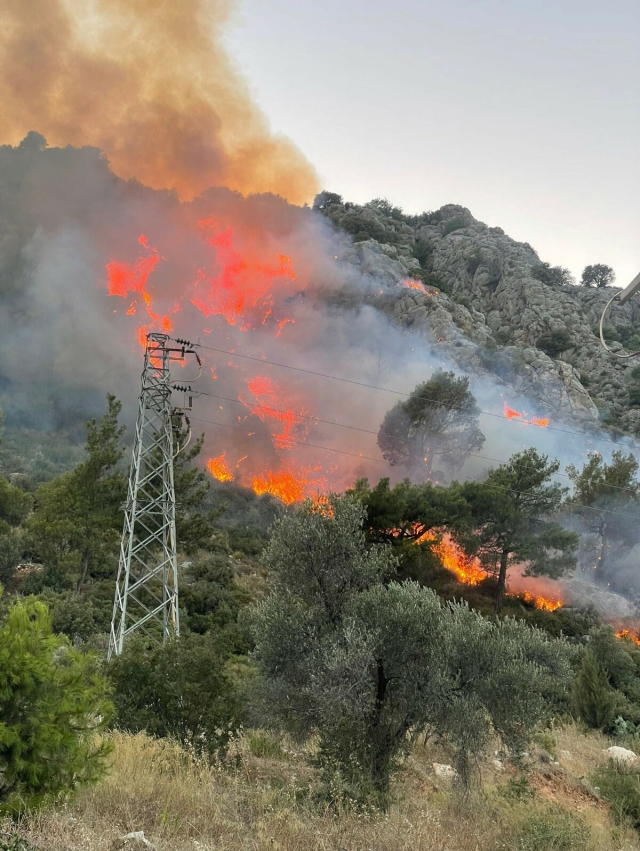 Muğla'nın Seydikemer ilçesinde makilik alanda yangın! Alevlere müdahale devam ediyor