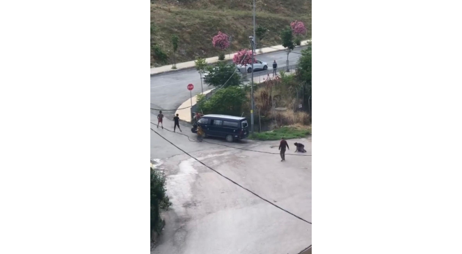 Pendik’te taşlı sopalı kavga