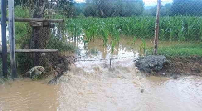 Bolu’da sel felaketinin zararı tespit ediliyor