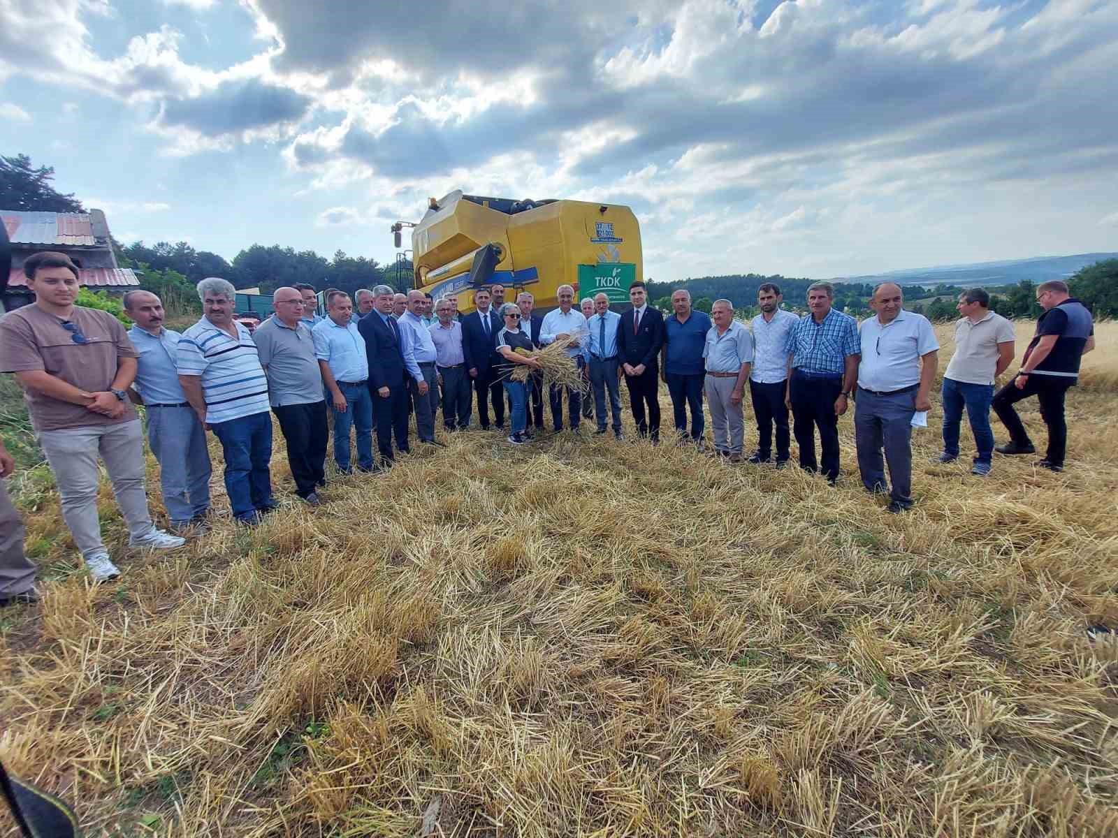 Kastamonu’da 10 bin 350 ton siyez buğdayının hasadı yapıldı