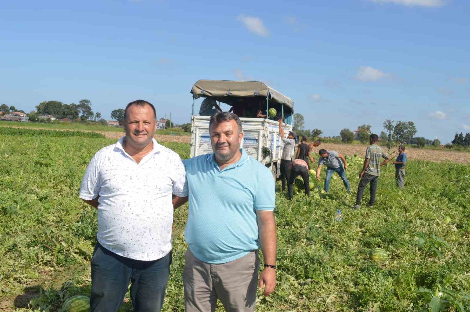 Bafra karpuzunda sona doğru