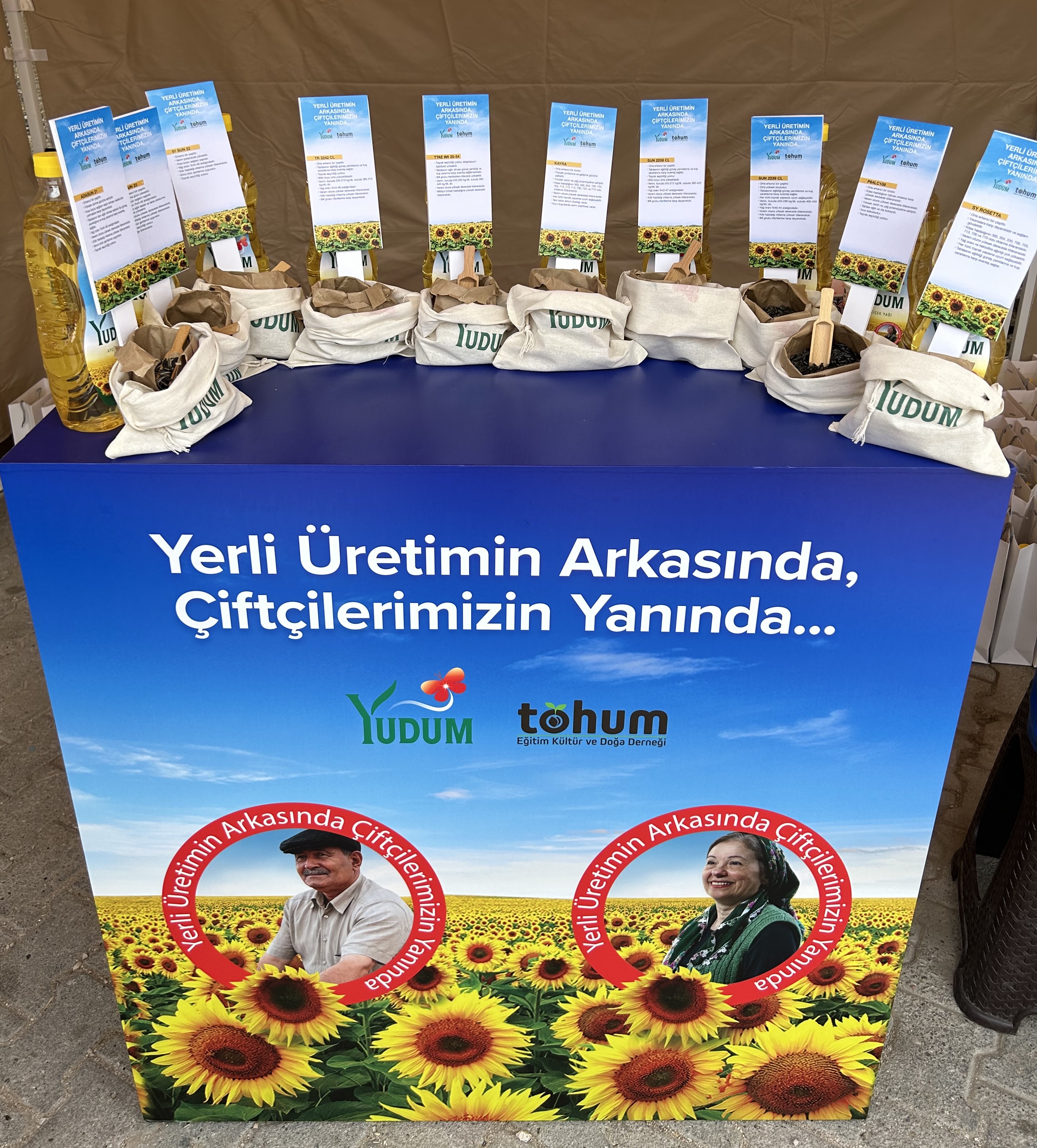 Adana’da deneme alanlarına ekilen yerli ayçiçeği tohumlarının mahsulleri hasat edildi