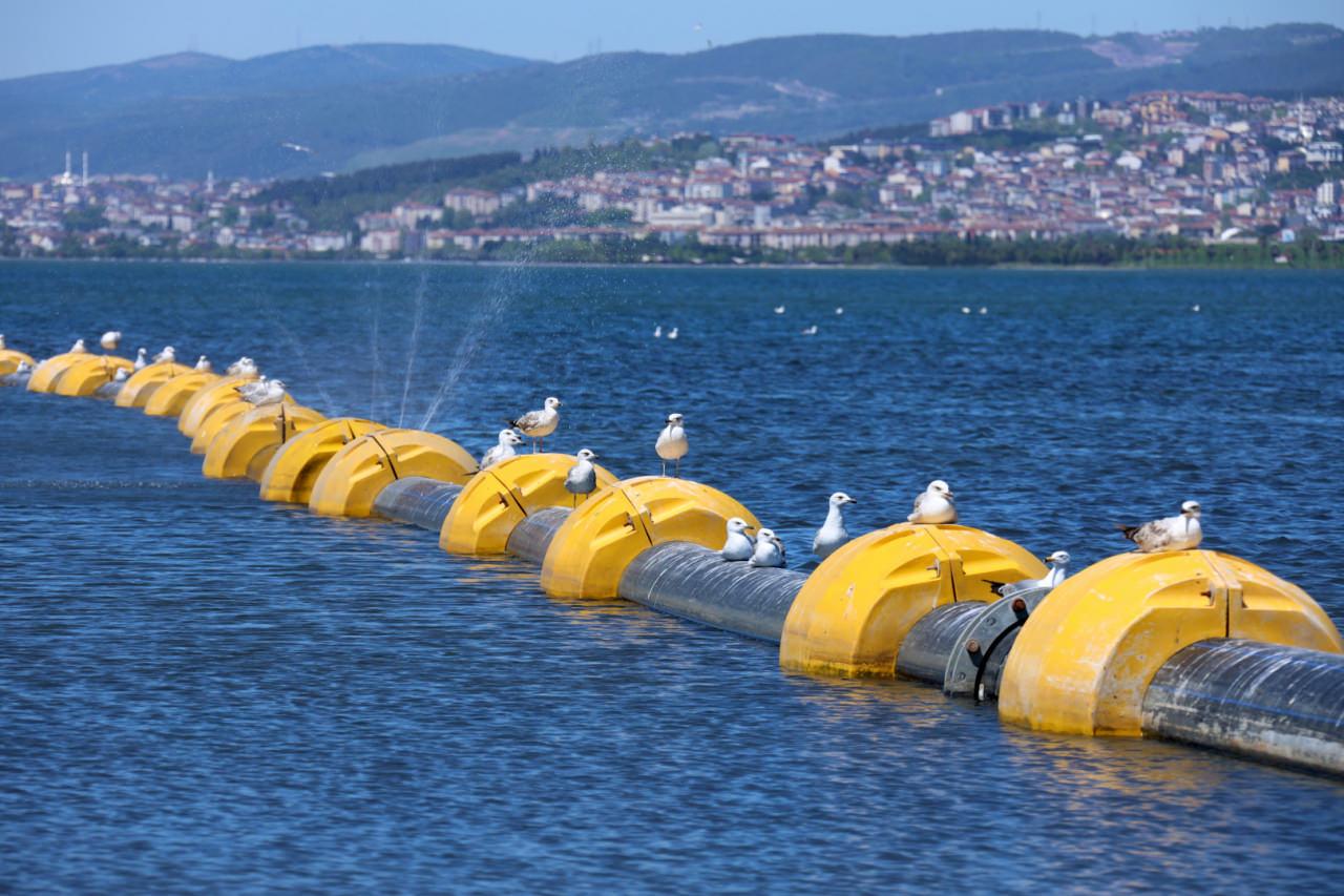 Marmara Denizi dipten diriliyor! Körfez akvaryuma dönecek