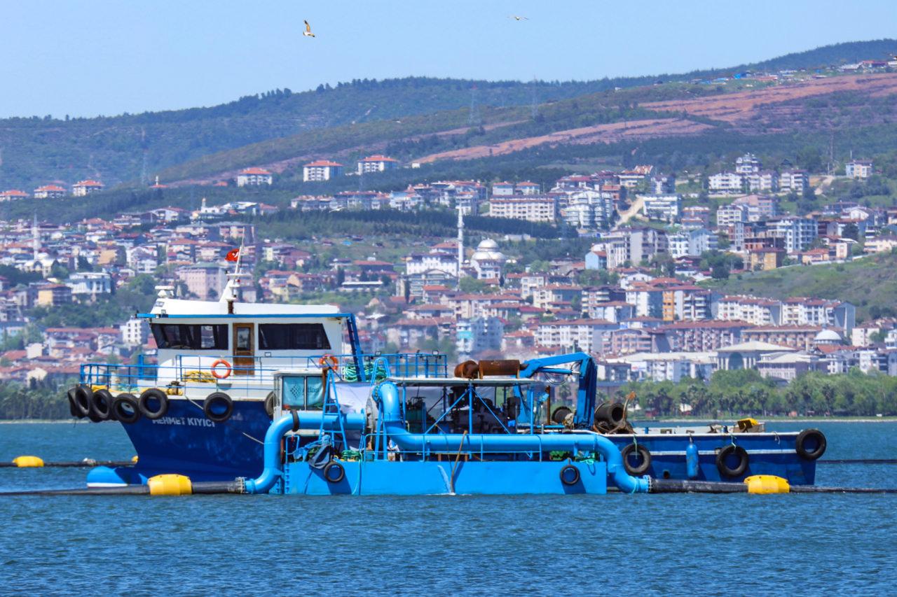 Marmara Denizi dipten diriliyor! Körfez akvaryuma dönecek