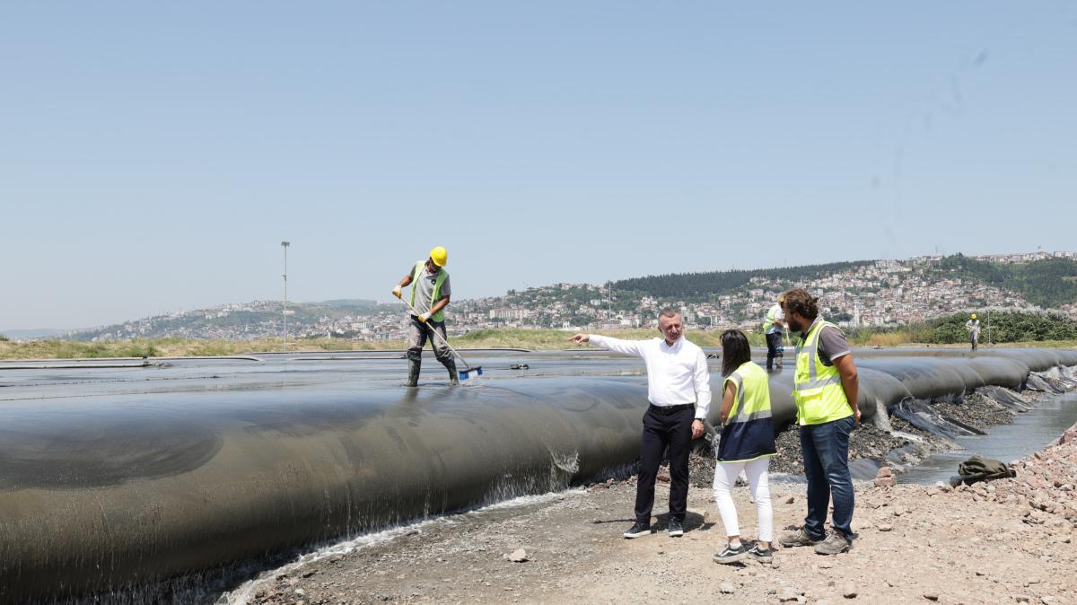 Marmara Denizi dipten diriliyor! Körfez akvaryuma dönecek