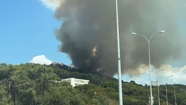 İstanbul Maltepe'de orman yangını! Bölgeye çok sayıda ekip sevk edildi