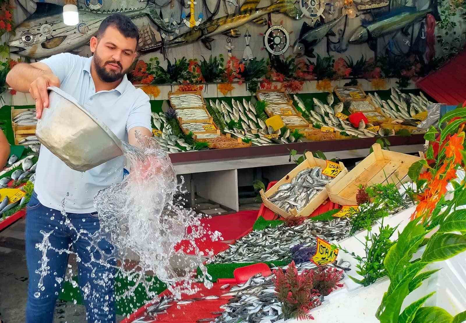 Yeni sezonda hamsi ve istavrit bolluğu görülebilir