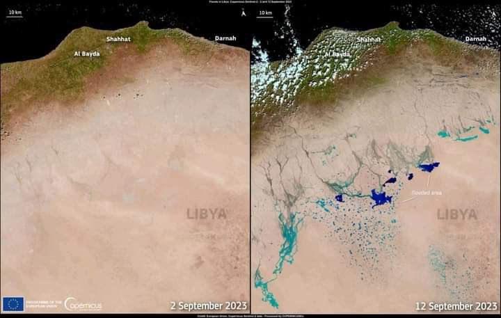 Sahra çöllükten çıktı! Sel sonrası şoke eden görüntü