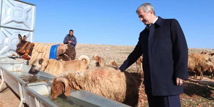 Hayranlık uyandıran projelerle fark attı! Oyu yüzde 70'e kadar çıktı