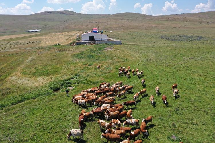 Kırsalda 12 yılda 98 milyar liralık yatırım hayata geçirildi