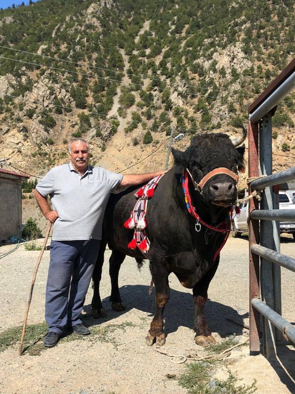 Arenaya damga vurdu! Tek boynuzlu şampiyon