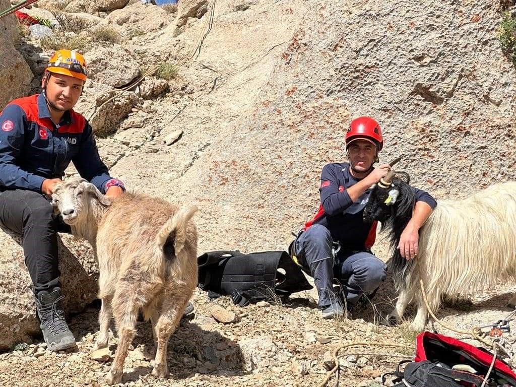 Van’da keçi kurtarma operasyonu