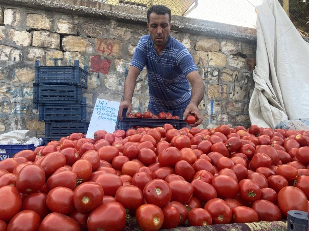 Salçalık domates ve biberler tezgahlarda