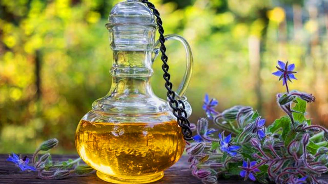 Hodan otunun ve yaprağının faydaları: Hodan otu çayı nasıl yapılır?