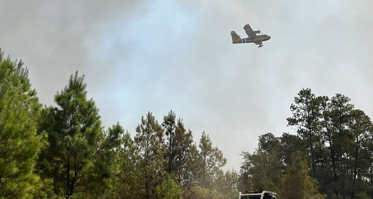 Texas’ta orman yangını: 4 bin 428 dönüm alan yandı