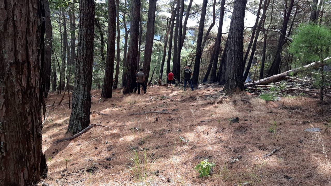 Kazdağları'ndaki orman yangını söndürüldü