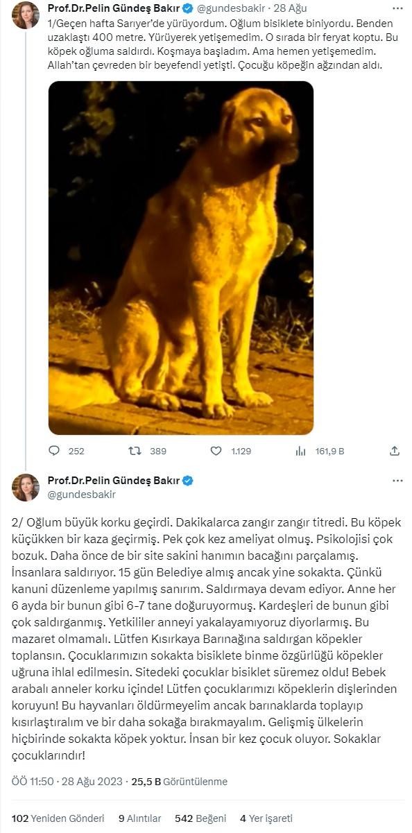 Eski milletvekilinin oğluna başıboş köpek saldırısı!