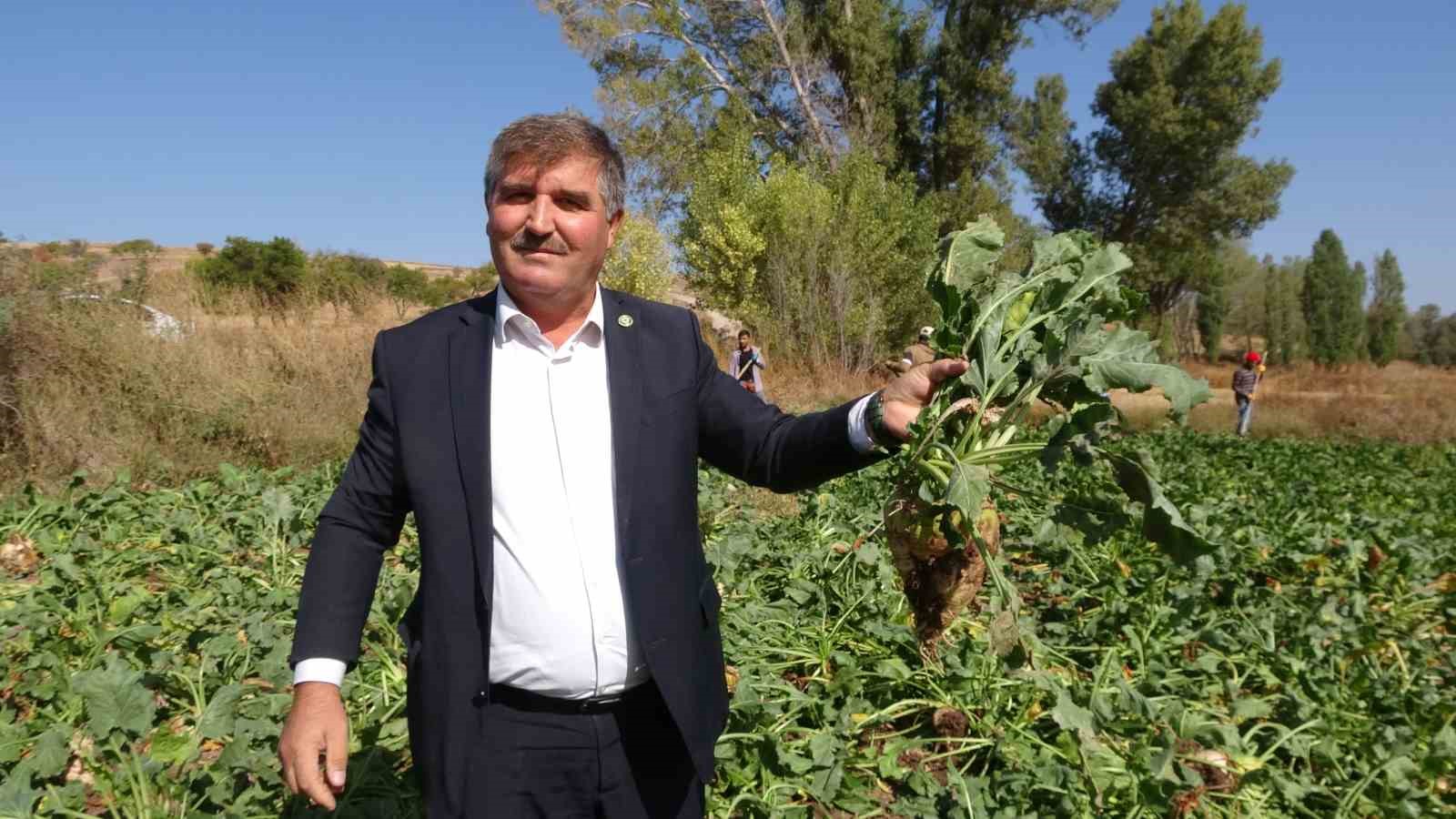 Yozgat’ta şeker pancarı hasadı başladı