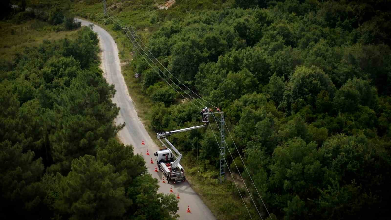 Toroslar EDAŞ göçmen kuşları yalıtımlı hatlarında ağırladı