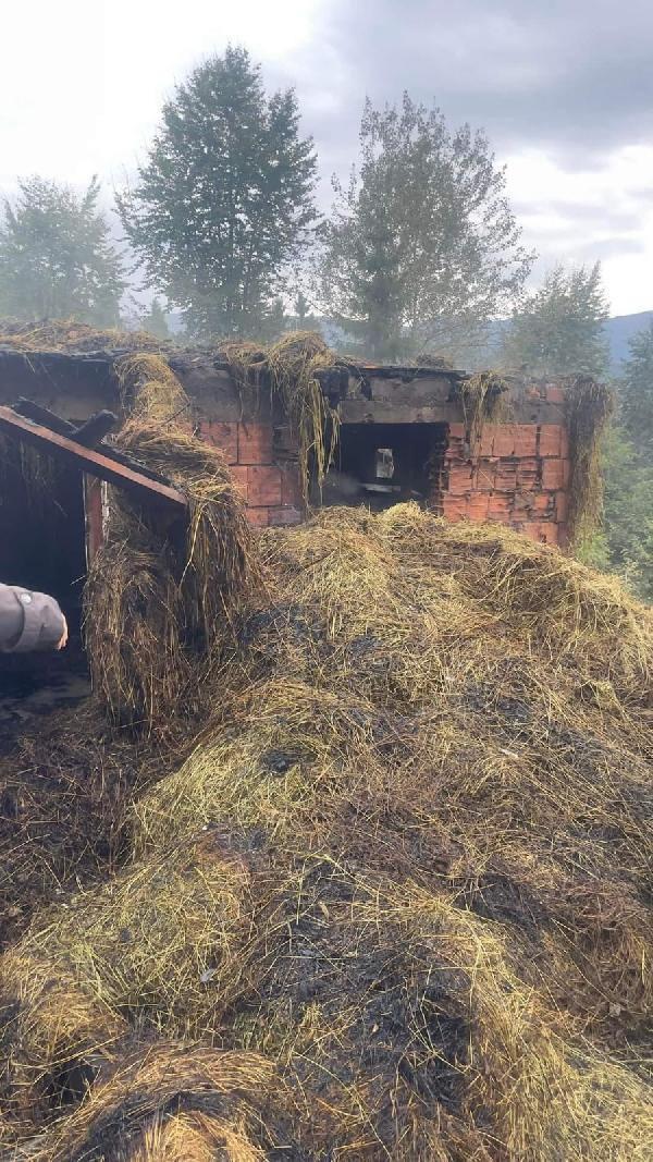 Trabzon'da sel! Yıldırım düştü ve heyelan oluştu