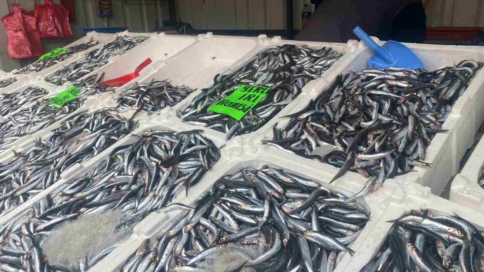 Fiyatlar düşüşe geçti, balığa ilgi arttı