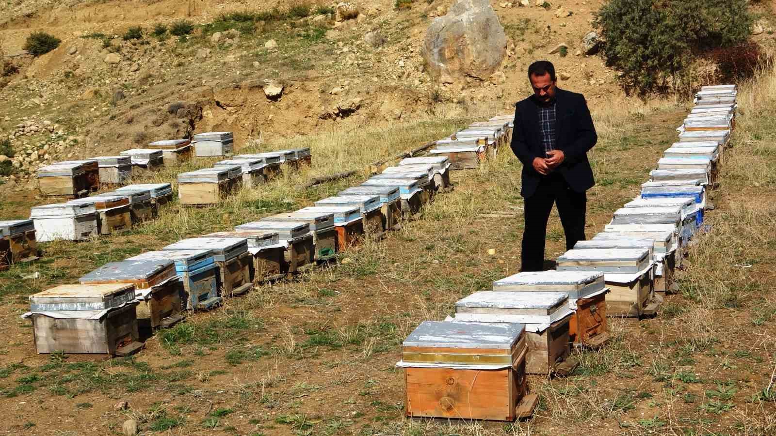 Van Arıcılar Birliği Yönetim Kurulu Üyesi Tandoğan: 