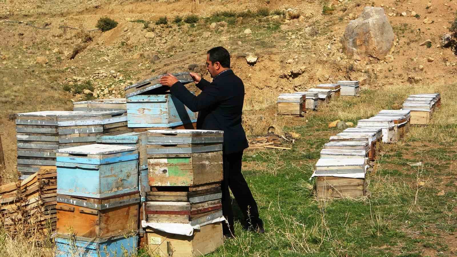 Van Arıcılar Birliği Yönetim Kurulu Üyesi Tandoğan: 