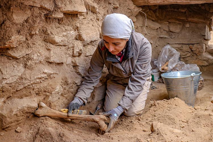 Van'da 3 bin 200 yıl önce yapılan beyin ameliyatı izlerine rastlandı