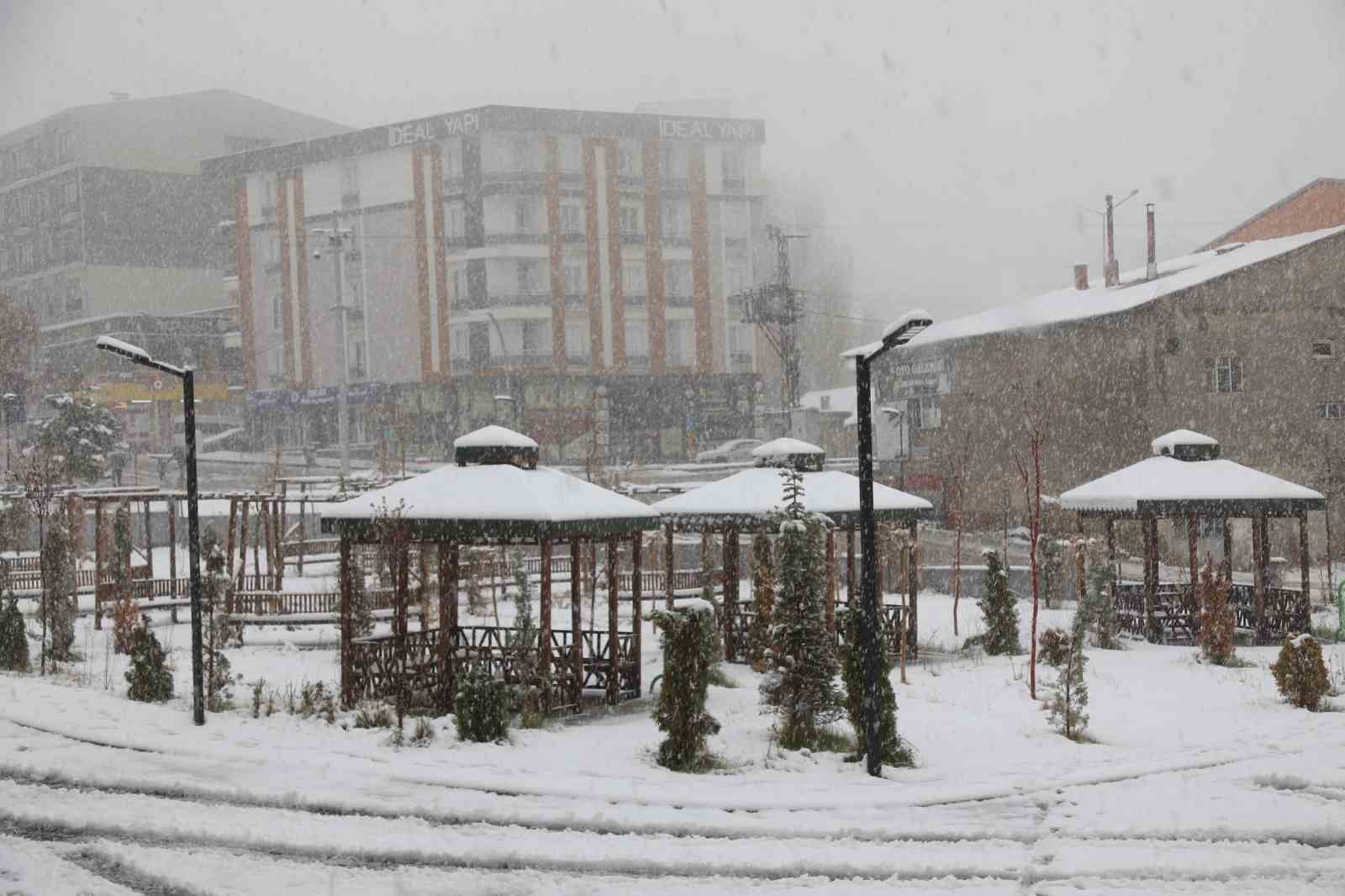 Başkale’de kar yağışı: 7 yerleşim yerinin yolu kapandı