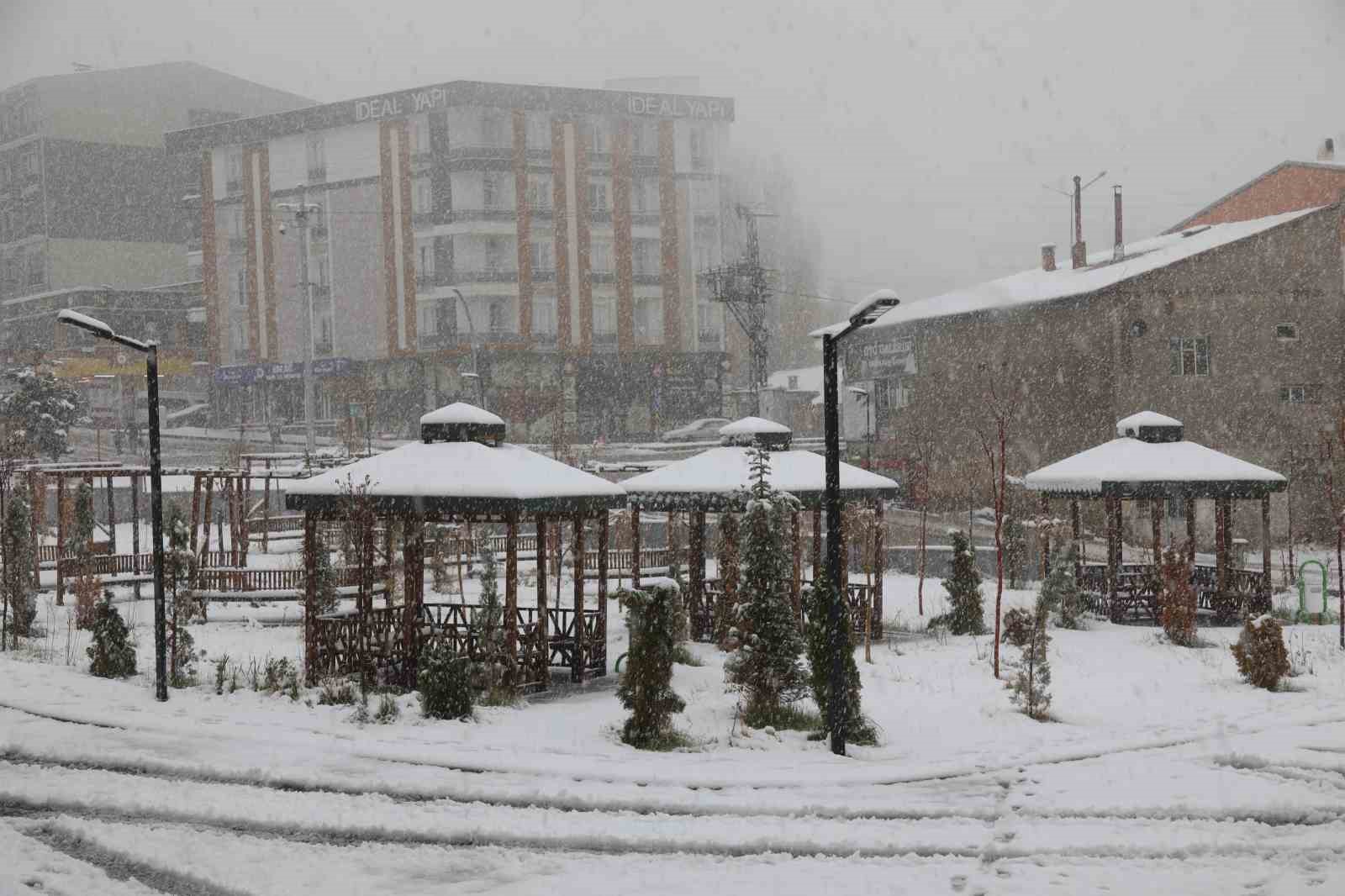 Başkale’de kar yağışı: 7 yerleşim yerinin yolu kapandı