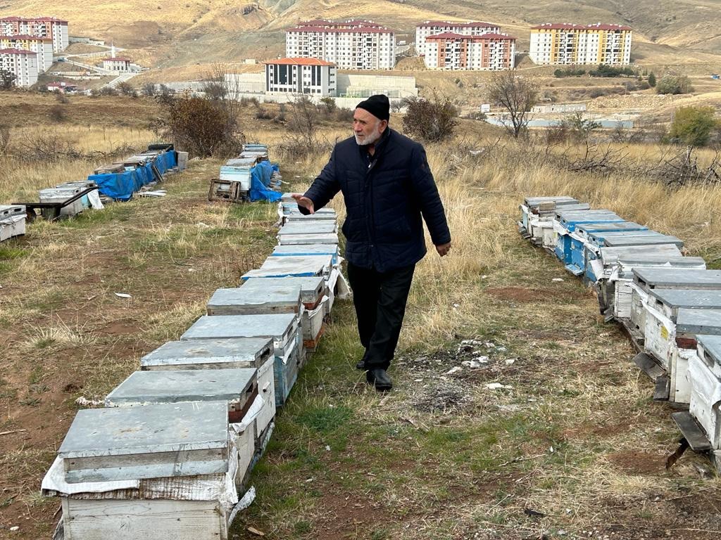 Yozgat’ta varroa hastalığı 15 bin kovana zarar verdi