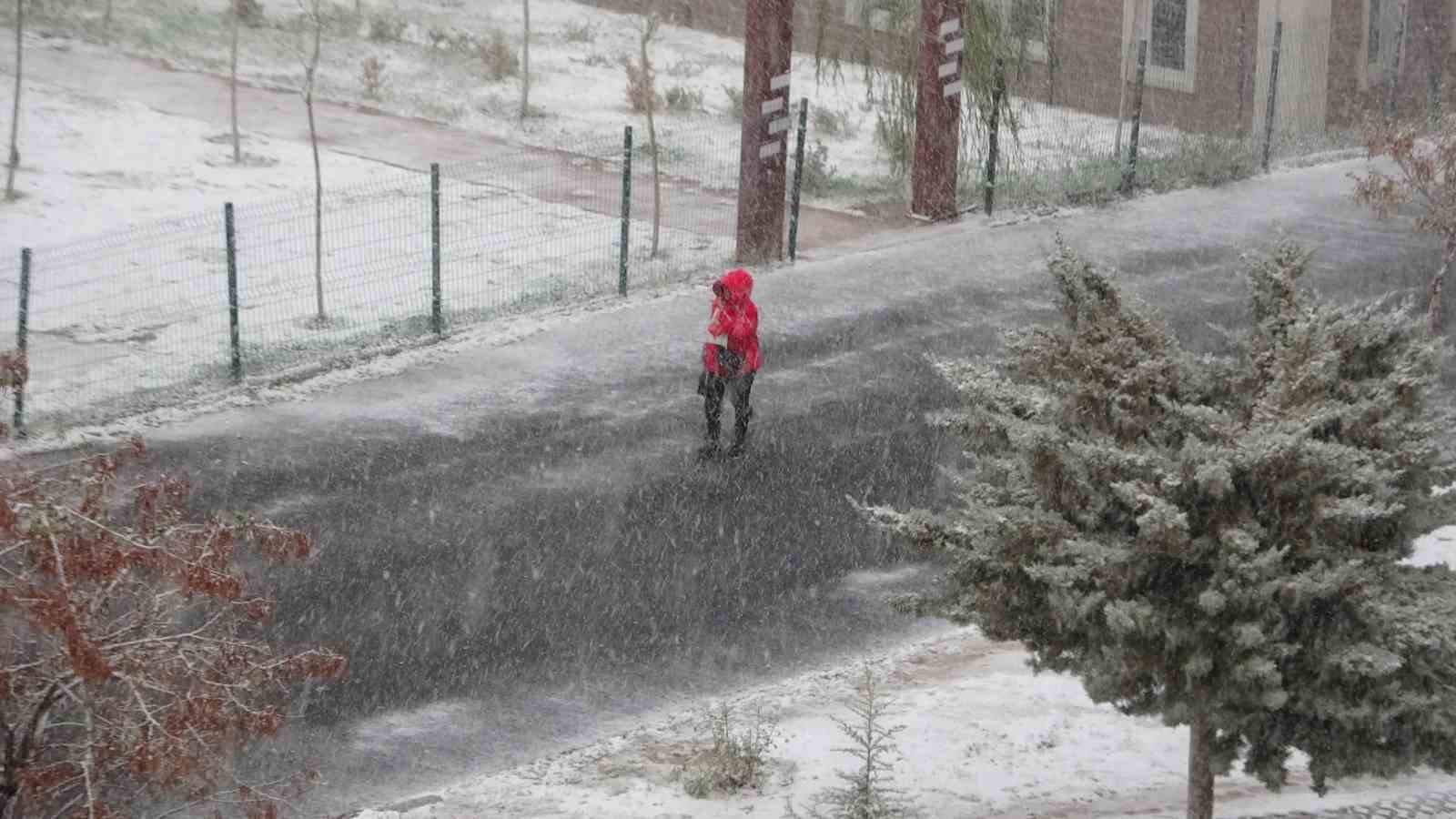 Van’da kar yağışı: 142 yol ulaşıma kapandı, uçaklar rötar yaptı