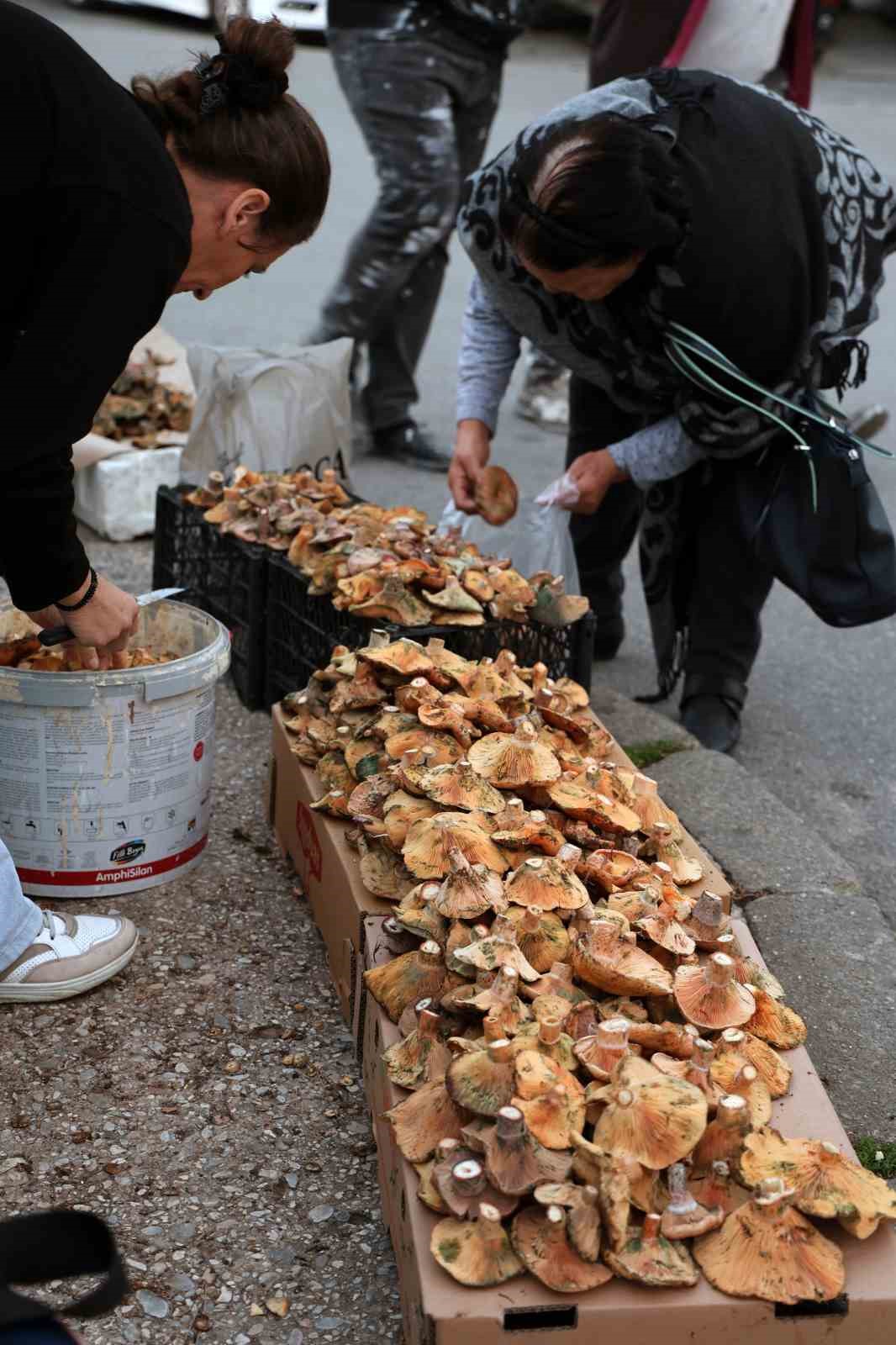 Kuraklığa rağmen Çıntar bolluğu