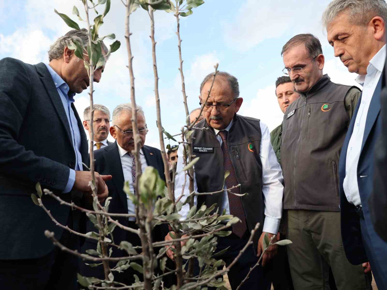 Bakan Özhaseki, ahlat ve alıç ağaçlarına aşılama yaptı