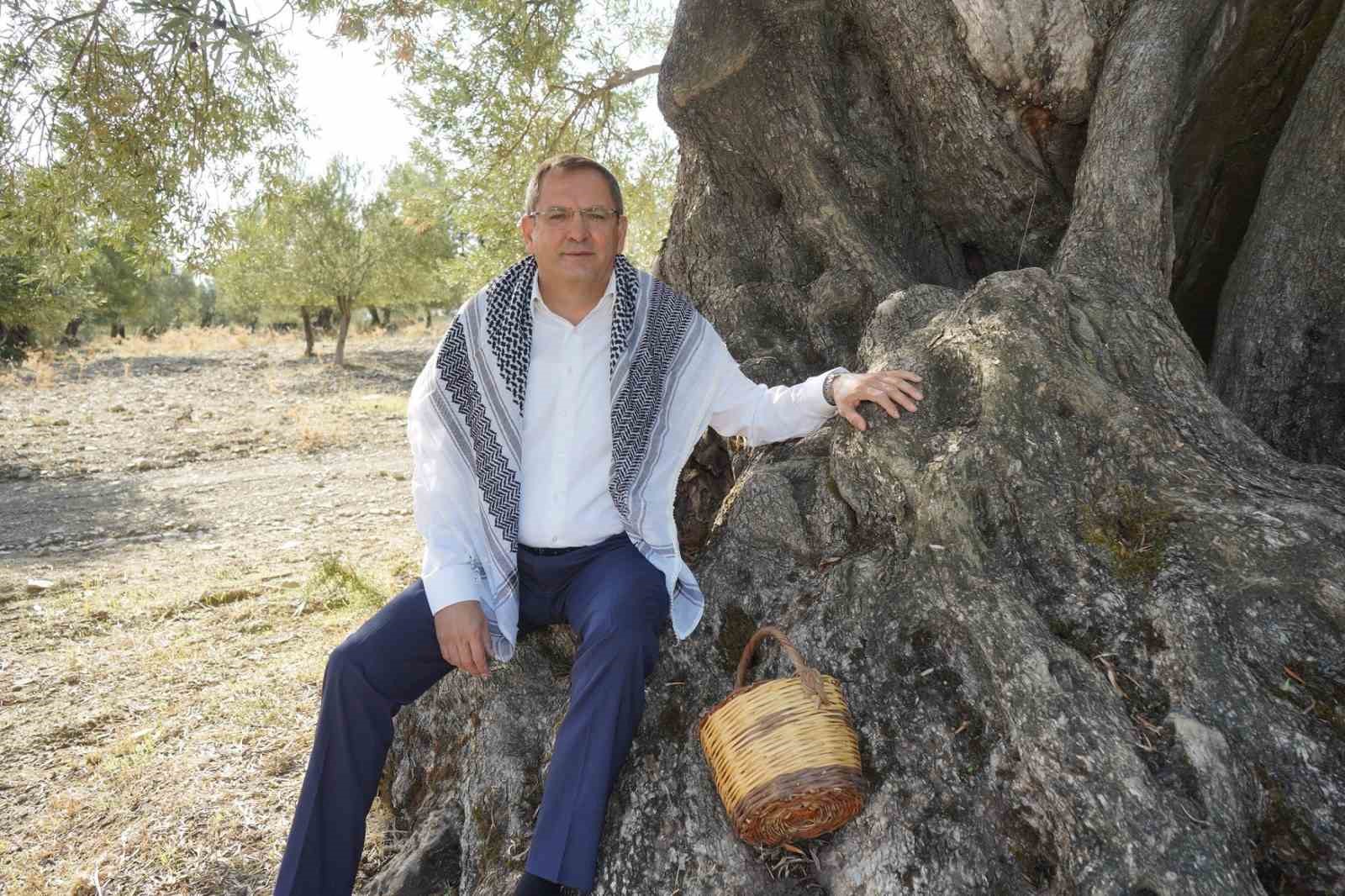 Başkan Ergin zeytin ağacı gününü unutmadı