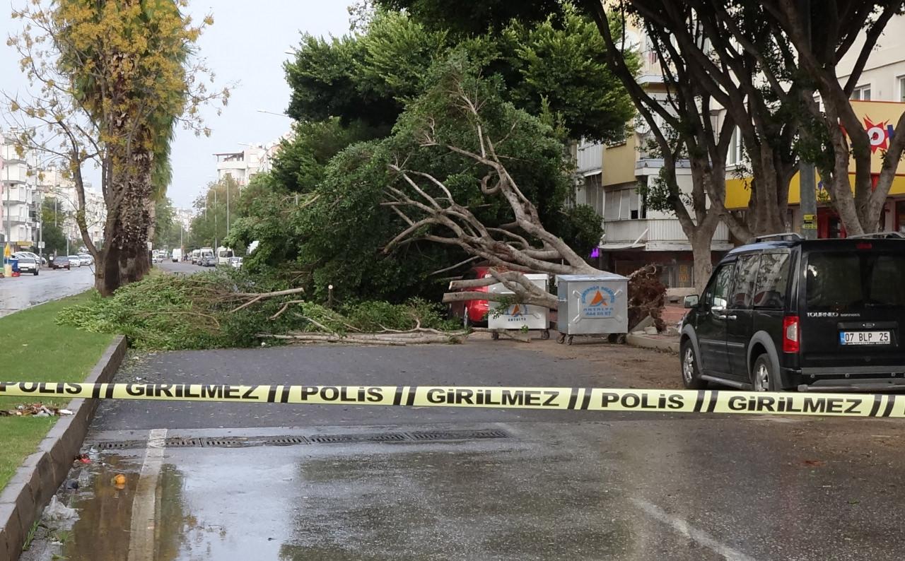 Antalya'da fırtına: Tekneler battı, ağaçlar devrildi