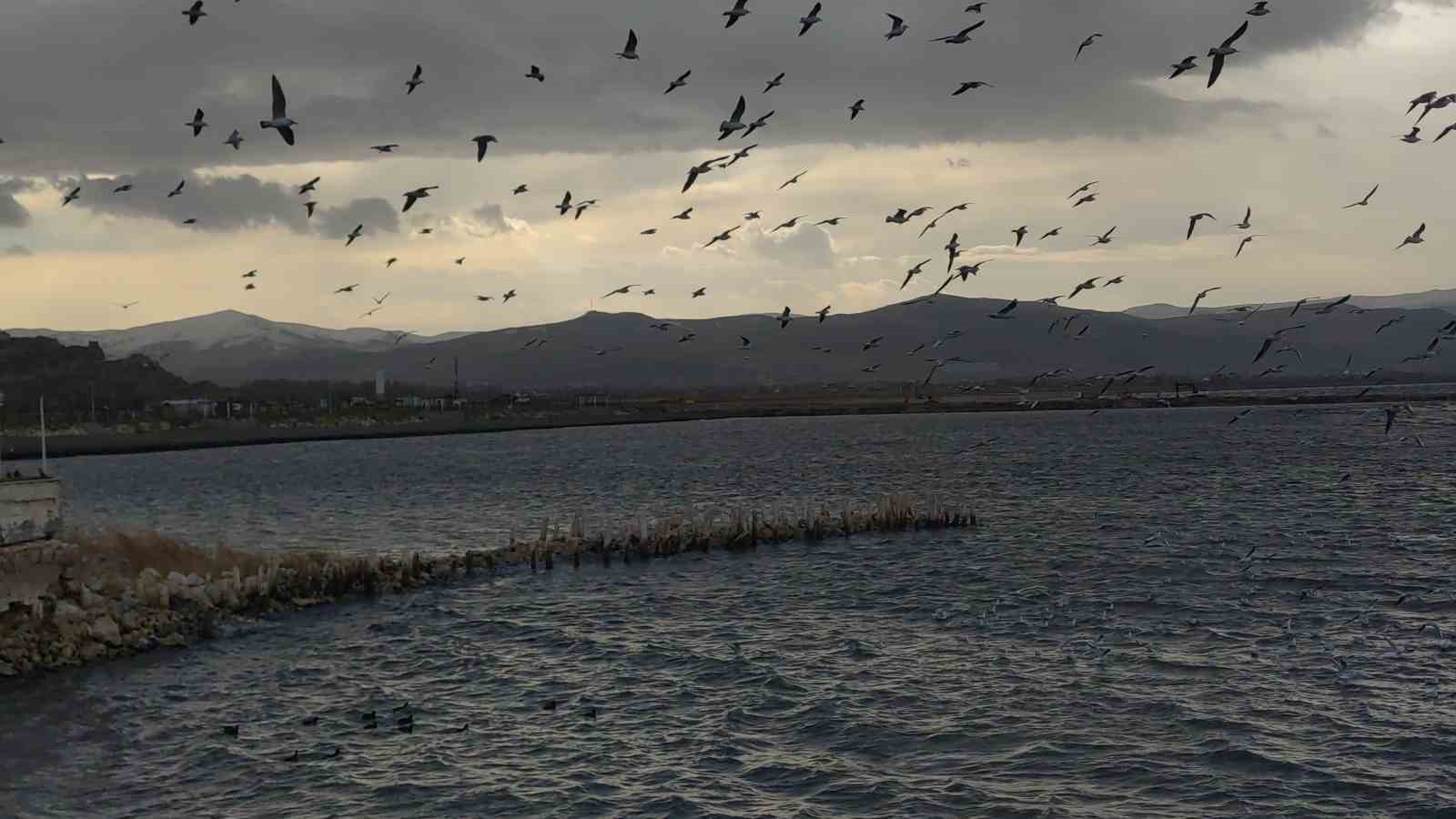 Fırtına Van Gölü’nde dev dalgalar oluşturdu