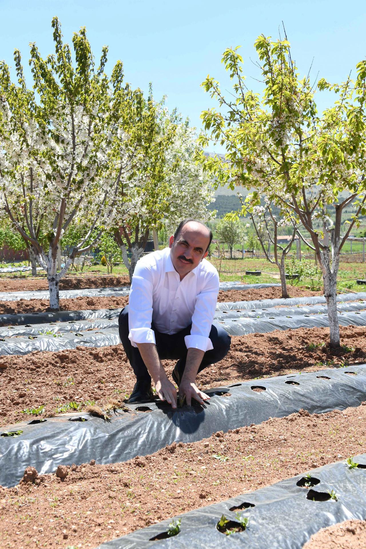 Tarımla teknolojinin birleştiği şehir Konya