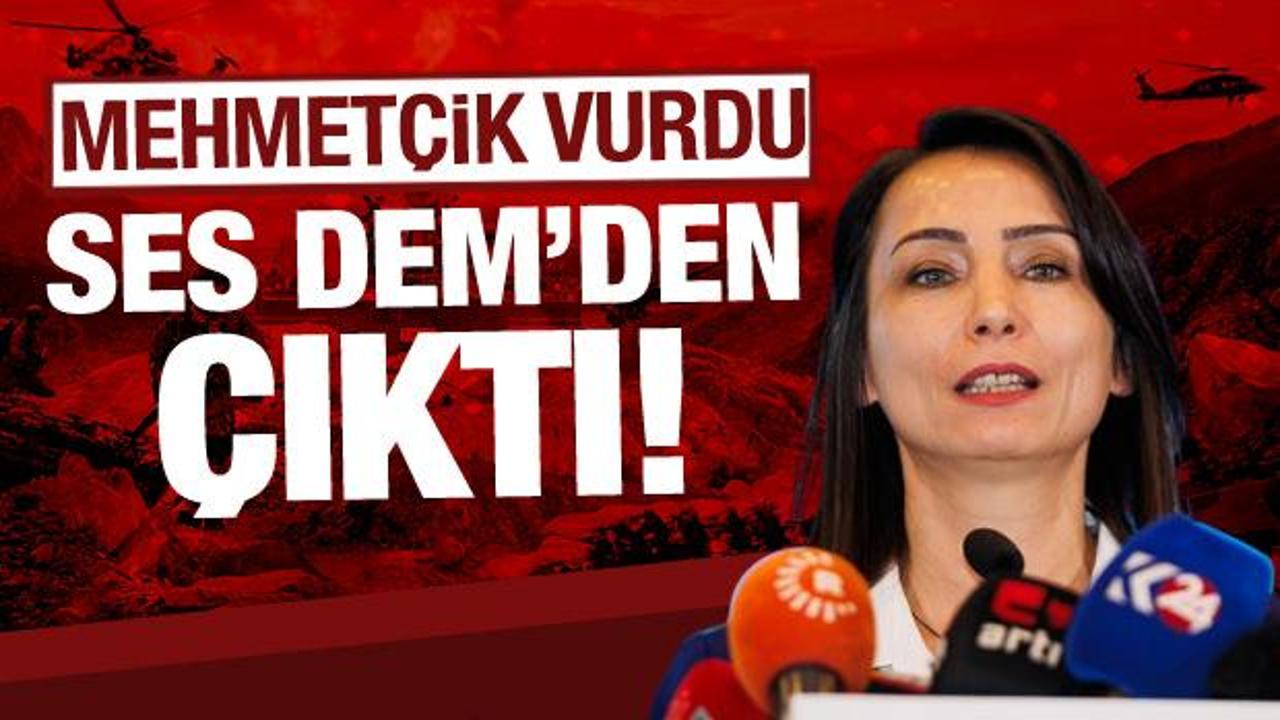 İyi Parti işte bu kamburdan kuruldu