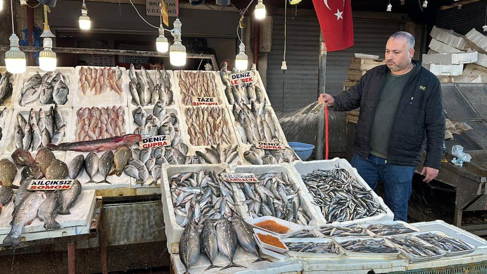 Sardalya ve hamsi balıkçıların yüzünü güldürüyor